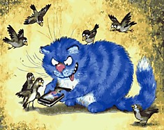Кот, галчата и смартфон