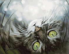 Котэ